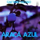 Araçá Azul.jpg ‘Araçá Azul’ de 1973.