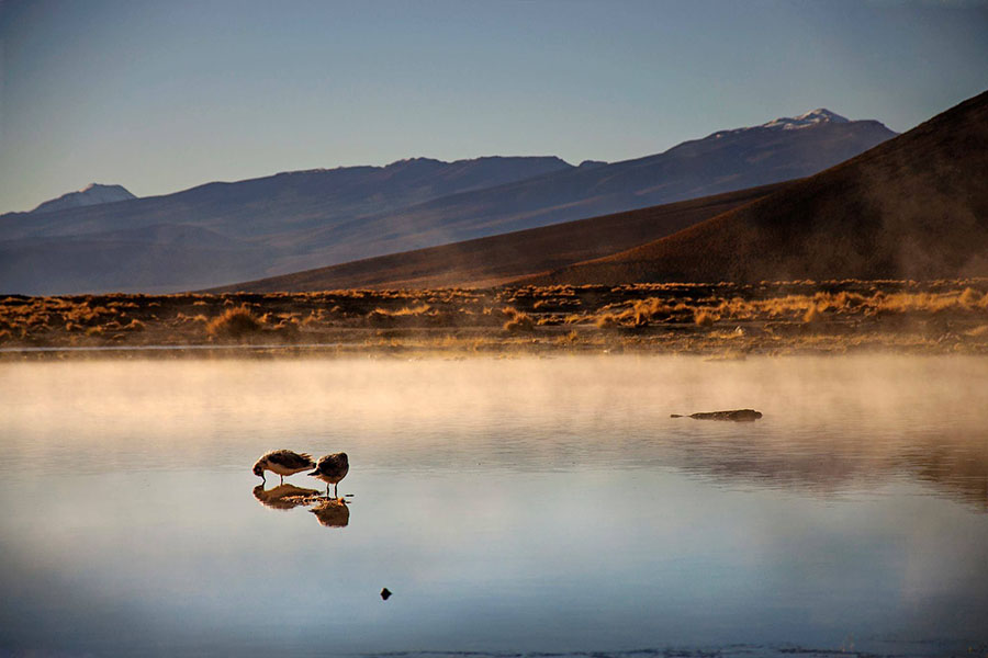 André Lins - Un Regard Além.jpg