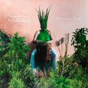 ALESSANDRA LEAO.jpeg