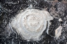 today3.jpg today3.jpg