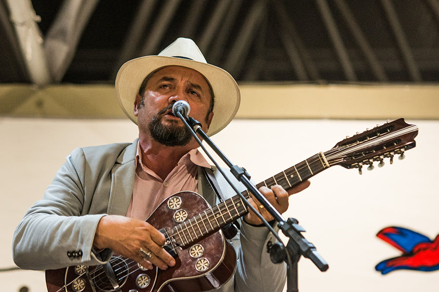 Pág 12 - Ze Viola.jpg