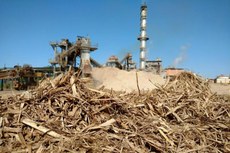 Usinas tentam há 20 anos usar a palha de forma eficiente na obtenção de energia, mas com pouco êxito