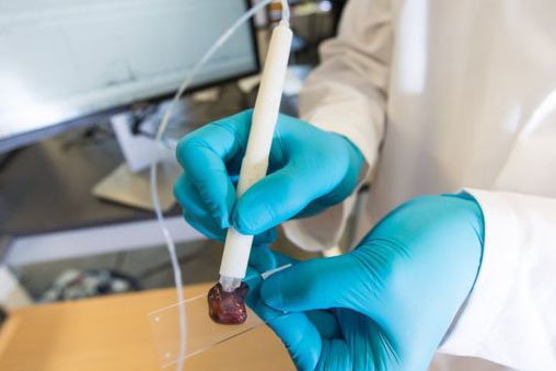 Avanco tecnológico; Foto - Universidade do Texas.jpg