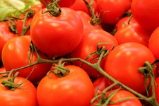 De acordo com o relatório, os alimentos produzidos com plantas geneticamente modificadas são seguros para o consumo humano