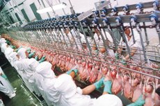 O maior risco agora é de demissões, afetando o emprego formal de centenas de pessoas, se proibição for mantida