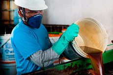 O projeto deve beneficiar, inicialmente, 73 trabalhadores de três cooperativas pernambucanas