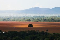 Área de cerrado desmatada para plantio no município de Alto Paraíso de Goiás (GO)