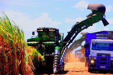 Cana-de-açúcar foi um dos produtos mais exportados em 2016