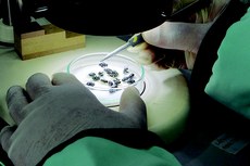 A entomologia forense é o estudo que permite identificar causas de morte de seres humanos por meio de insetos que colonizam o cadáver