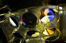 Pesquisa e desenvolvimento realizados em instituições de ensino serão direcionados a atender às demandas do setor produtivo 