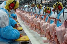 A suspensão das exportações das unidades Mineiros e Rio Verde, tiveram início do mês de março deste ano e até agora permanecem