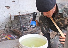 Ao todo, 55.394 militares participaram das ações que também contaram com a aplicação de larvicidas