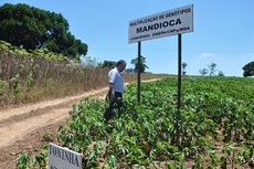 Agronegócio paraibano tem superado os desafios da recessão econômica enfrentada pelo país