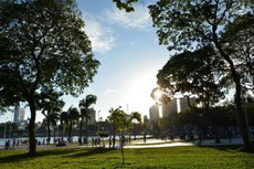 O evento contará com uma ‘cãominhada’, além de vacinação antirrábica e adoção de animais.