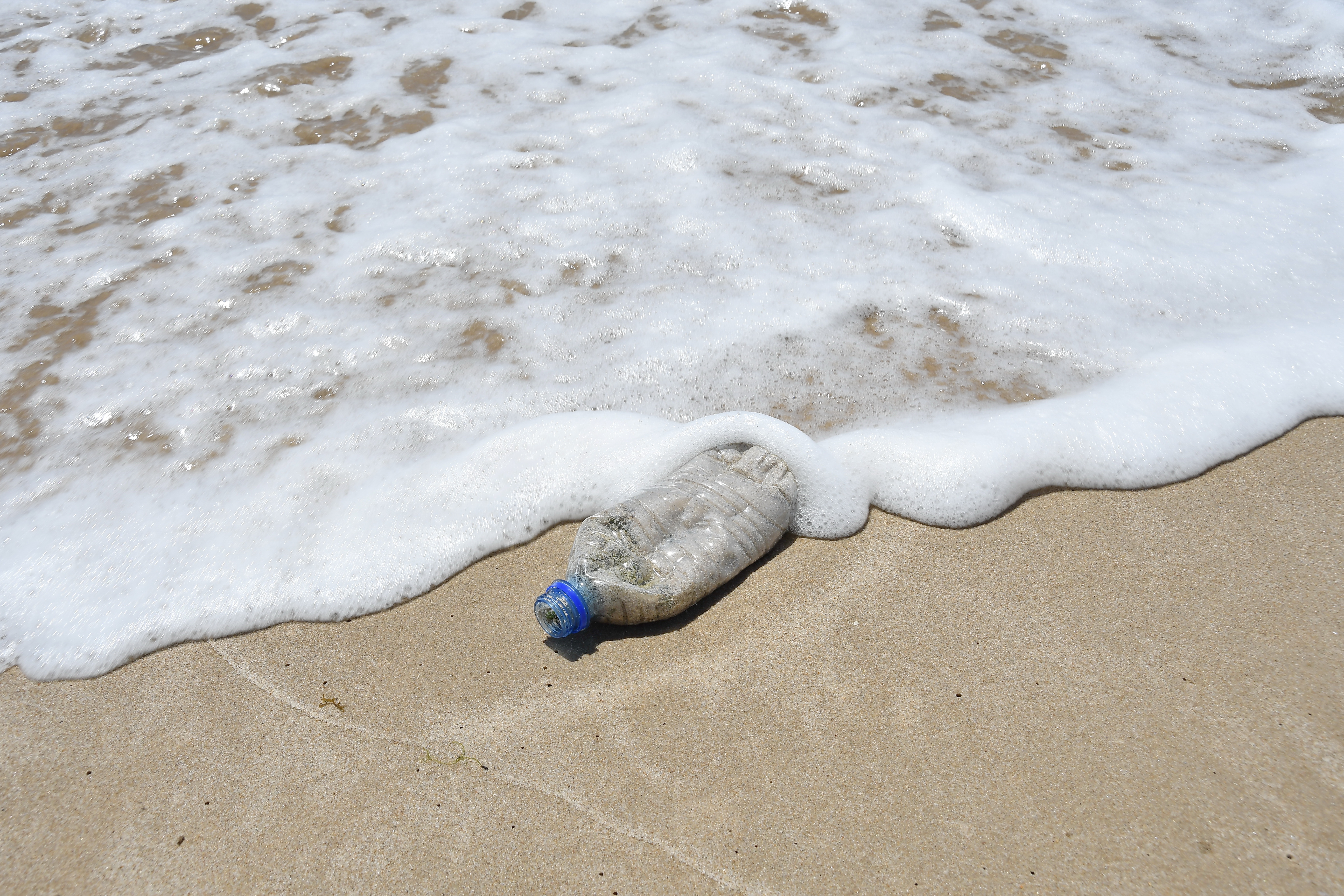 2022.03.25_plastico no mar  © roberto guedes (4).JPG