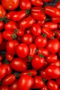 tomate-freepik.jpg tomate-freepik.jpg