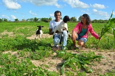 As cisternas possibilitam a produção de alimentos e a criação de animais, facilitando ainda o acesso de famílias à água na região