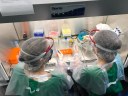 Foto Equipe LabiMol.jpg Profissionais de diferentes regiões trocam colaborações
