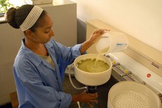 Além das inovações, empresários registraram ganhos de produtividade com ações sugeridas por meio do SBRT