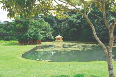 26.08.19_jardim botanico © roberto guedes (46).JPG 26.08.19_jardim botanico © roberto guedes (46).JPG