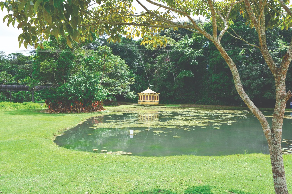 26.08.19_jardim botanico © roberto guedes (46).JPG