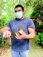 Silvestre quer anotar espécies ameaçadas e exóticas