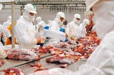 As empresas entraram na lista negra da União Europeia em razão de “deficiências detectadas no sistema oficial de controle brasileiro”