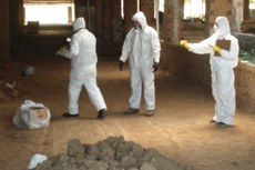 Operação Descarte foi integrada pelo Ministério Público, Polícia Civil e IPC