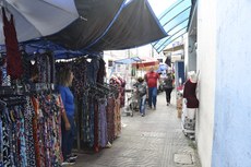 Fotos: Roberto Guedes