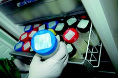 Rede de bancos de leite da Paraíba conta atualmente com 350 doadoras e coleta, em média, 400 litros por mês