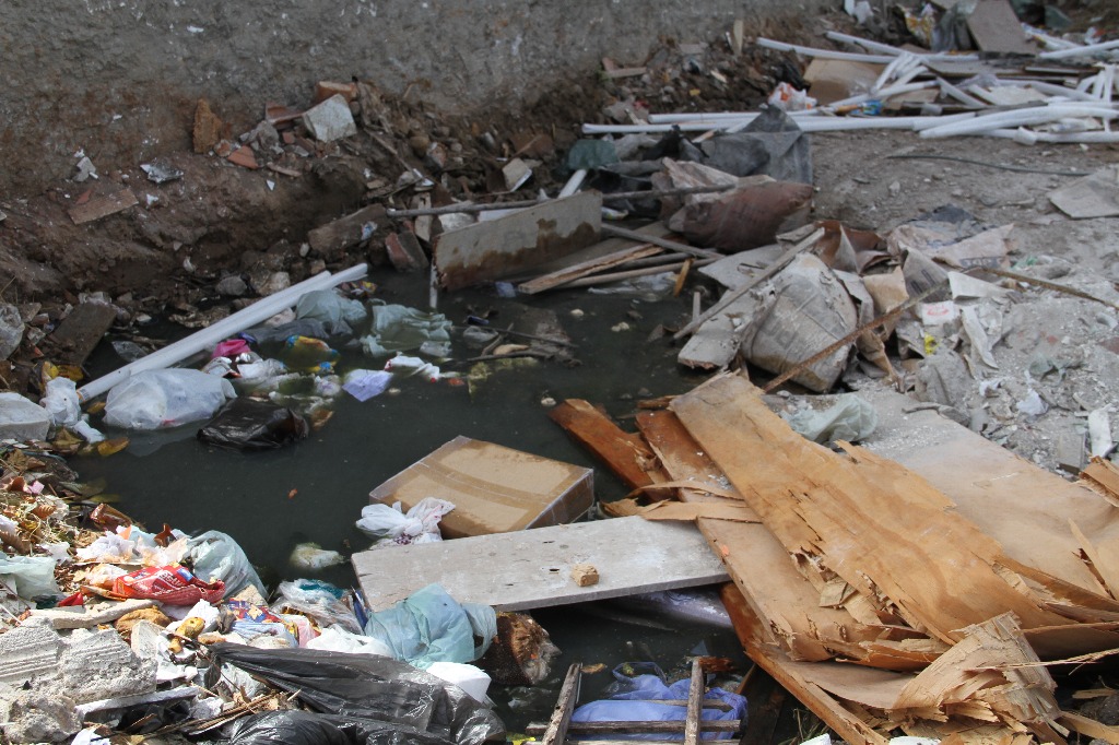 Arborvírose Dengue F Evandro 3.JPG