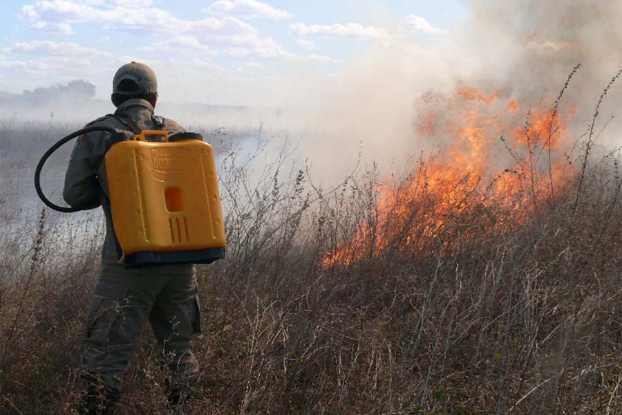 bombeiros prevenção de incendios em vegetacao (2).jpg
