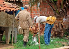 Ação faz parte do plano de combate ao mosquito lançado pelo Governo do Estado em 2015