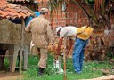 Ação faz parte do plano de combate ao mosquito lançado pelo Governo do Estado em 2015