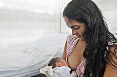 De fácil digestão, o leite materno é um alimento completo que contém todos os nutrientes e sais minerais de que o bebê necessita