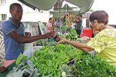 Os produtos agrícolas são cultivados, sem agrotóxicos, em quilombolas e assentamentos, e o artesanato é de artesãos de diversos municípios paraibanos
