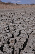 Decreto de situação de emergência devido à seca permite que municípios adotem medidas para enfrentar o problema