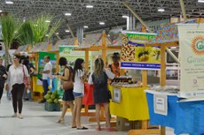 Cerca de 200 artesãs de diversas cidades do Estado devem participar da feira, que acontece no pátio da PBTur