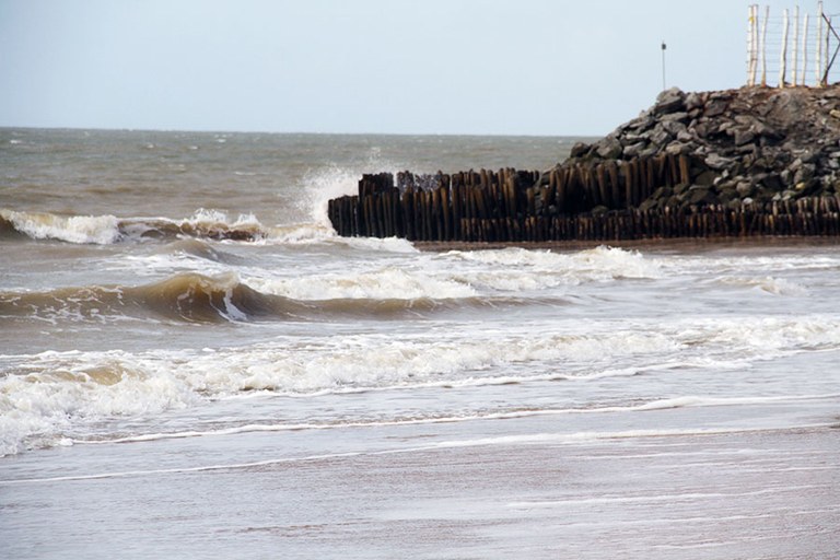 seixas.jpg seixas.jpg