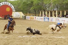 Envento do Parque Maria da Luz, em Campina Grande, é considerado tradicional pelos ‘desportistas’ e público aficionado