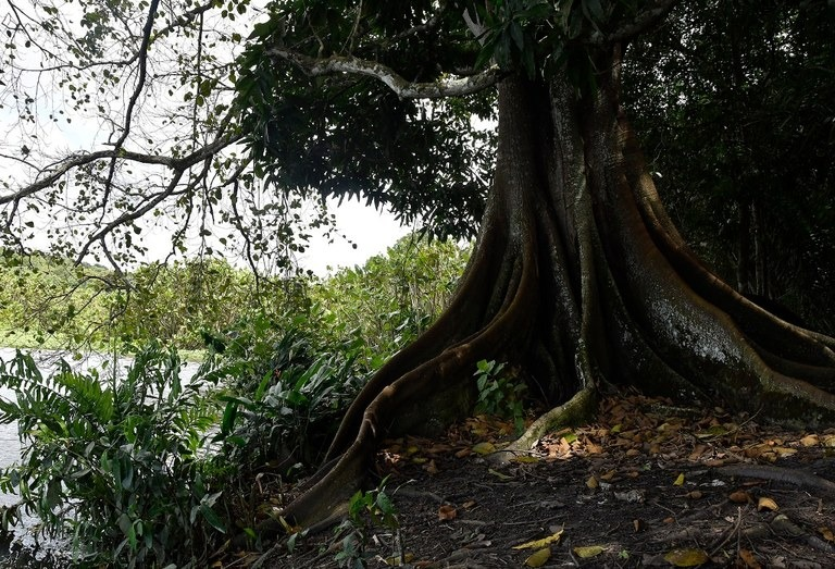 Mata do buraquimho.png