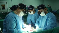 Desde o começo do ano, foram realizados, na Paraíba, 229 transplantes de órgãos ou tecidos, incluindo cardíacos