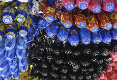 Foto: Roberto Guedes