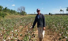 A missão de agora acontece no Equador