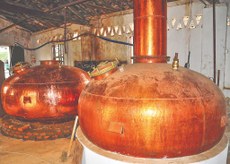 Produções industrial e por alambique na Paraíba ganham notoriedade no Brasil pela qualidade e quantidade