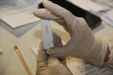 Dois tipos de testes estão sendo usados: o RT-PCR Antígeno é aplicado primeiro e, caso dê positivo, é realizado o RT-PCR para fazer o sequenciamento viral. Foto: Marcos Russo