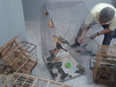 Apreensão foi realizada no sítio Conceição, em Patos