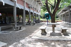 Apreensão ocorreu na Praça da Alegria