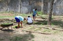 Horta escolar foi implantada com o objetivo de integrar os socioeducandos e sugere meios de melhorar a qualidade de vida através de uma alimentação mais saudável e orgânica