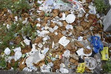 Foto: Roberto Guedes